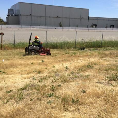 Richmond PKWY mowing